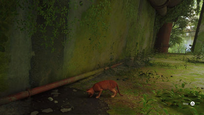 Stray for PlayStation 5 with futuristic city exploration featuring a stray cat protagonist gameplay