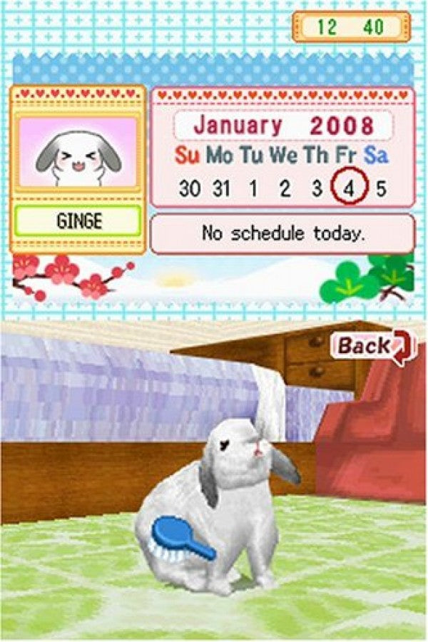 Petz Bunnyz for Nintendo DS (DS), gameplay for a retro video game featuring pet care simulation gameplay, rabbit customization, mini-game challenges, nurturing activities, and family-friendly animal adventures