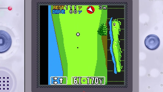 Neogeo Pocket Color Selection Vol. 1 [Classic Edition] gameplay image for Nintendo Switch (NS) cover art for video game