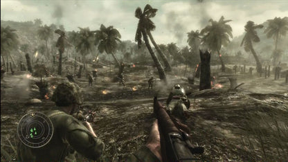 Call of Duty: World at War for Nintendo DS with World War II themed action focus gameplay