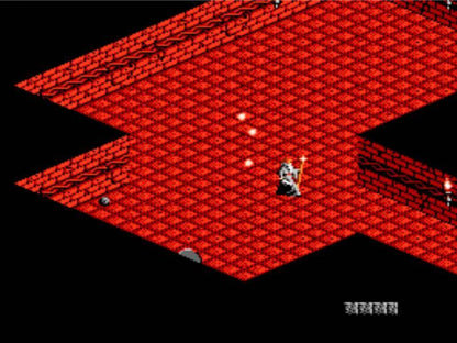 The Immortal NES Nintendo Entertainment System action adventure game isometric dungeon crawler fantasy puzzle solving combat Electronic Arts Will Harvey retro 8 bit gaming cartridge video game title gameplay