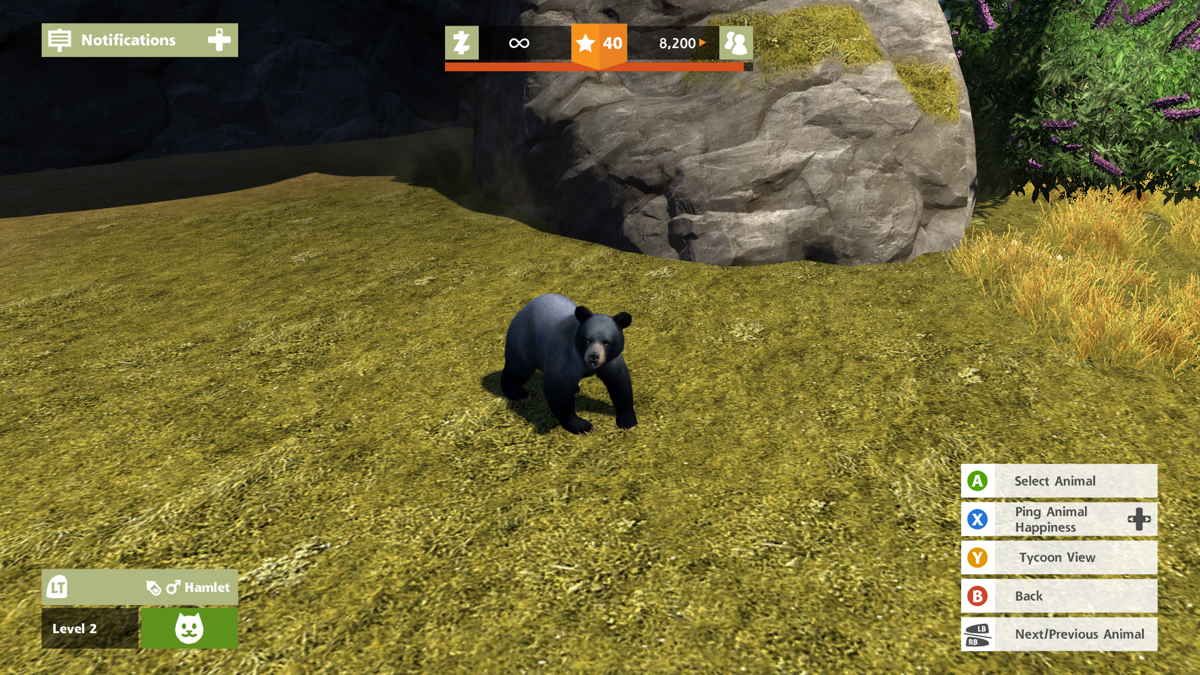 Zoo Tycoon – Xbox One (XONE) gameplay for zoo management simulation video game