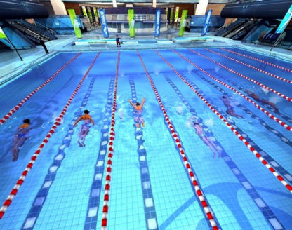 World Championship Athletics gameplay for Nintendo Wii (Wii) featuring track‑and‑field sports competition with sprinting, jumping, and throwing events, motion‑based controls, and international tournament gameplay.